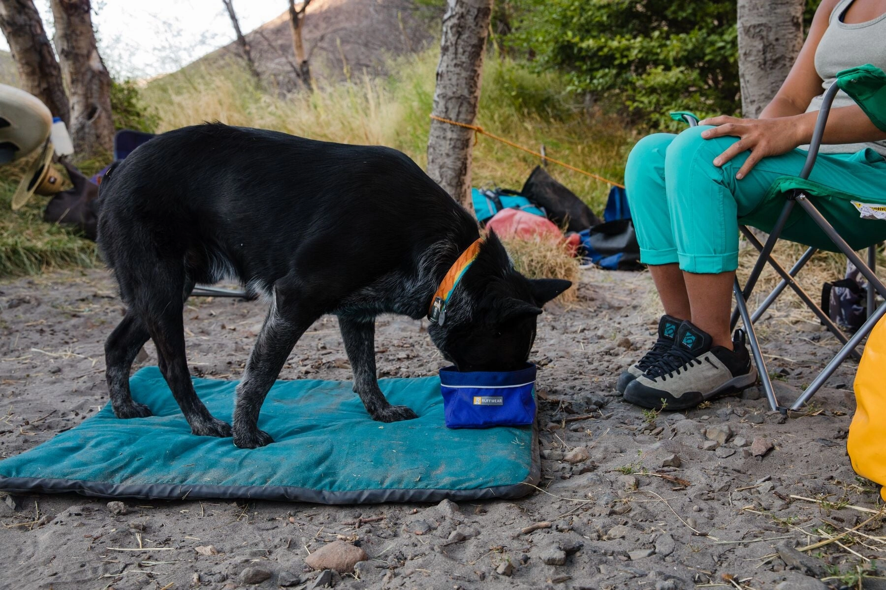 Ruffwear: Flat Out Dog Collar