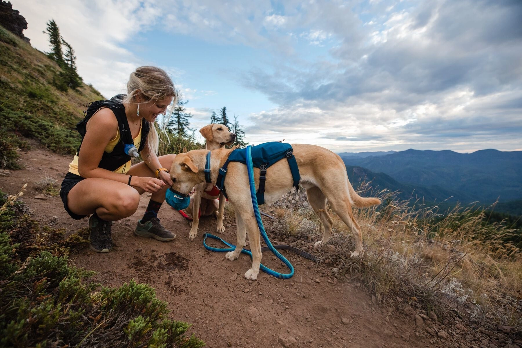 Ruffwear: Flat Out Dog Collar