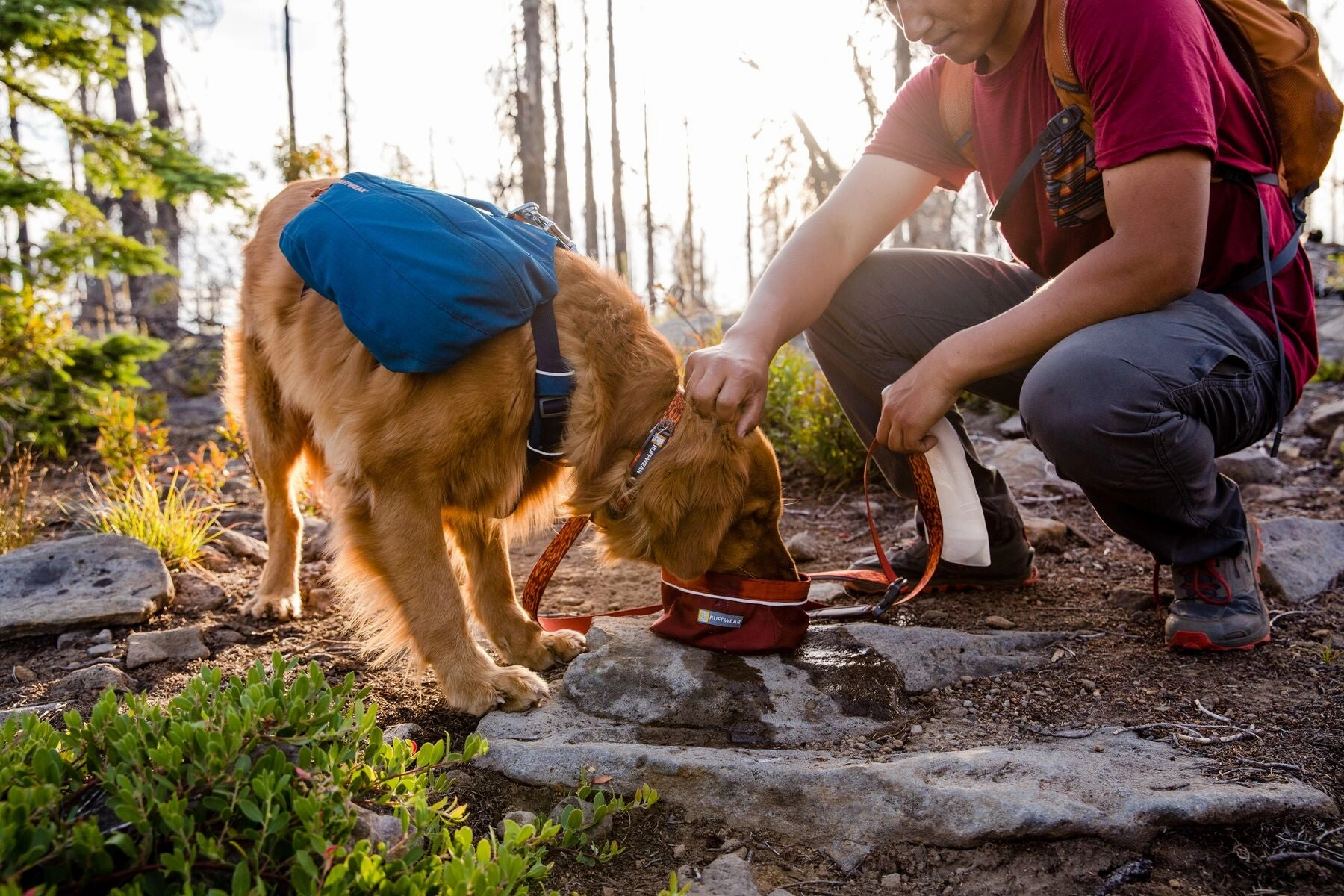 Ruffwear Front Range Dog Day Pack
