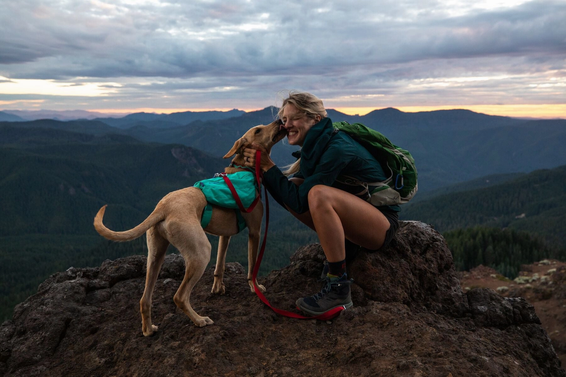 Ruffwear Front Range Dog Day Pack