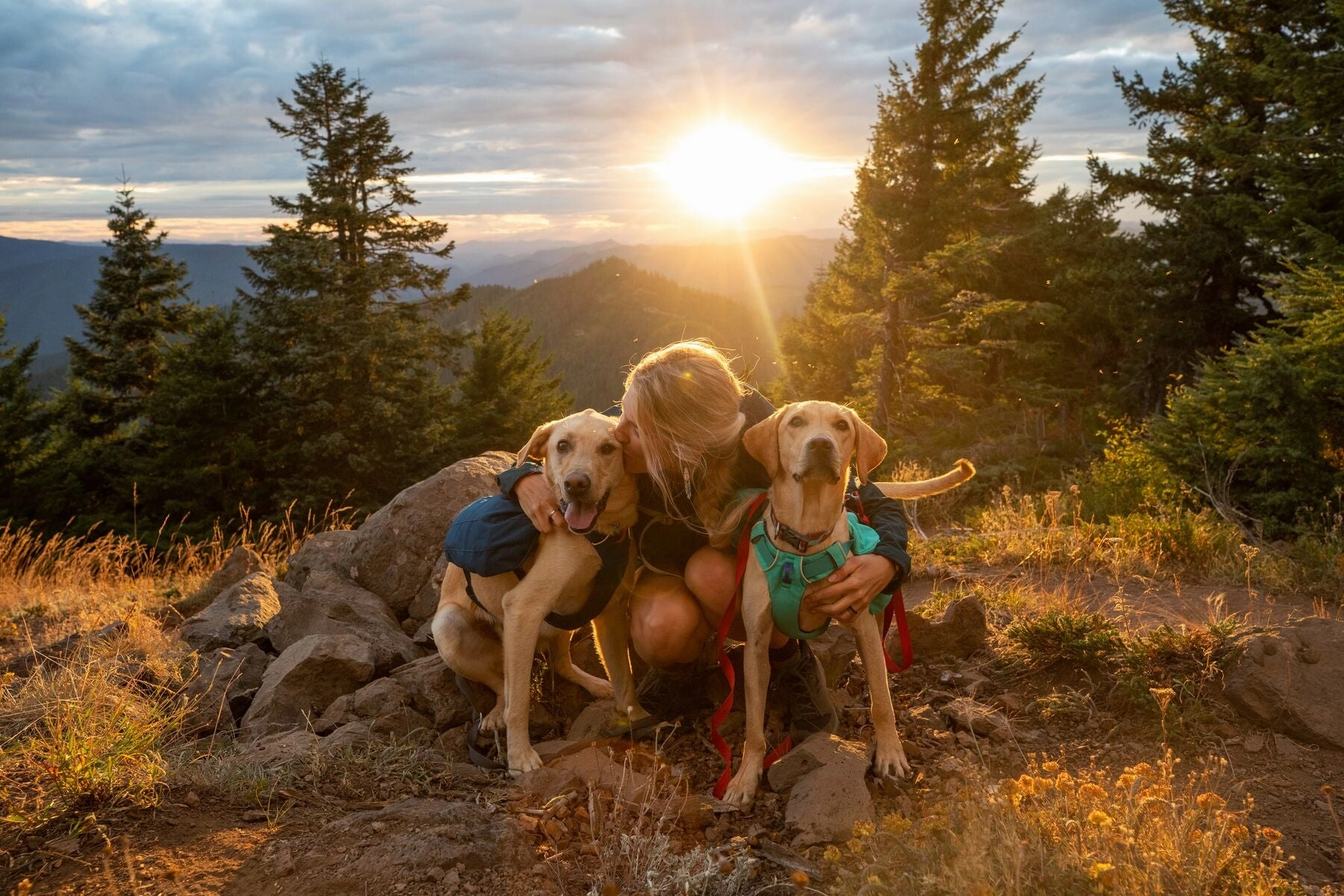 Ruffwear Front Range Dog Day Pack