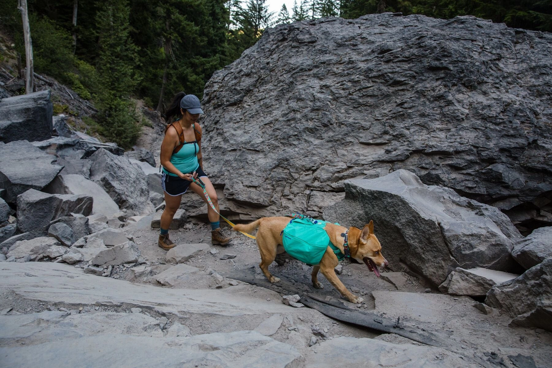 Ruffwear Front Range Dog Day Pack