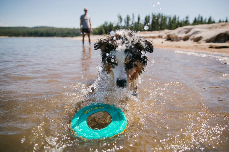 Ruffwear Hydro Plane Floating Throw Dog Toy