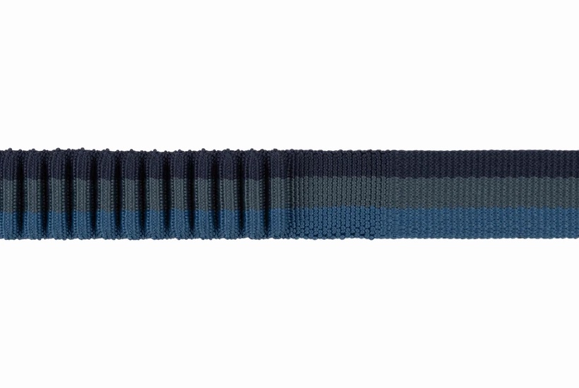 Ruffwear Roamer Bungee Dog Leash