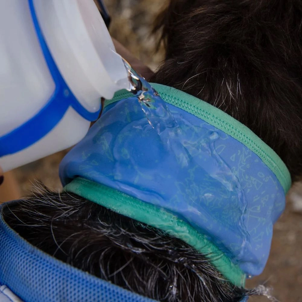 Ruffwear Swamp Cooler Reversible Cooling Dog Neck Gaiter (Aurora Teal/Heliotrope Purple)
