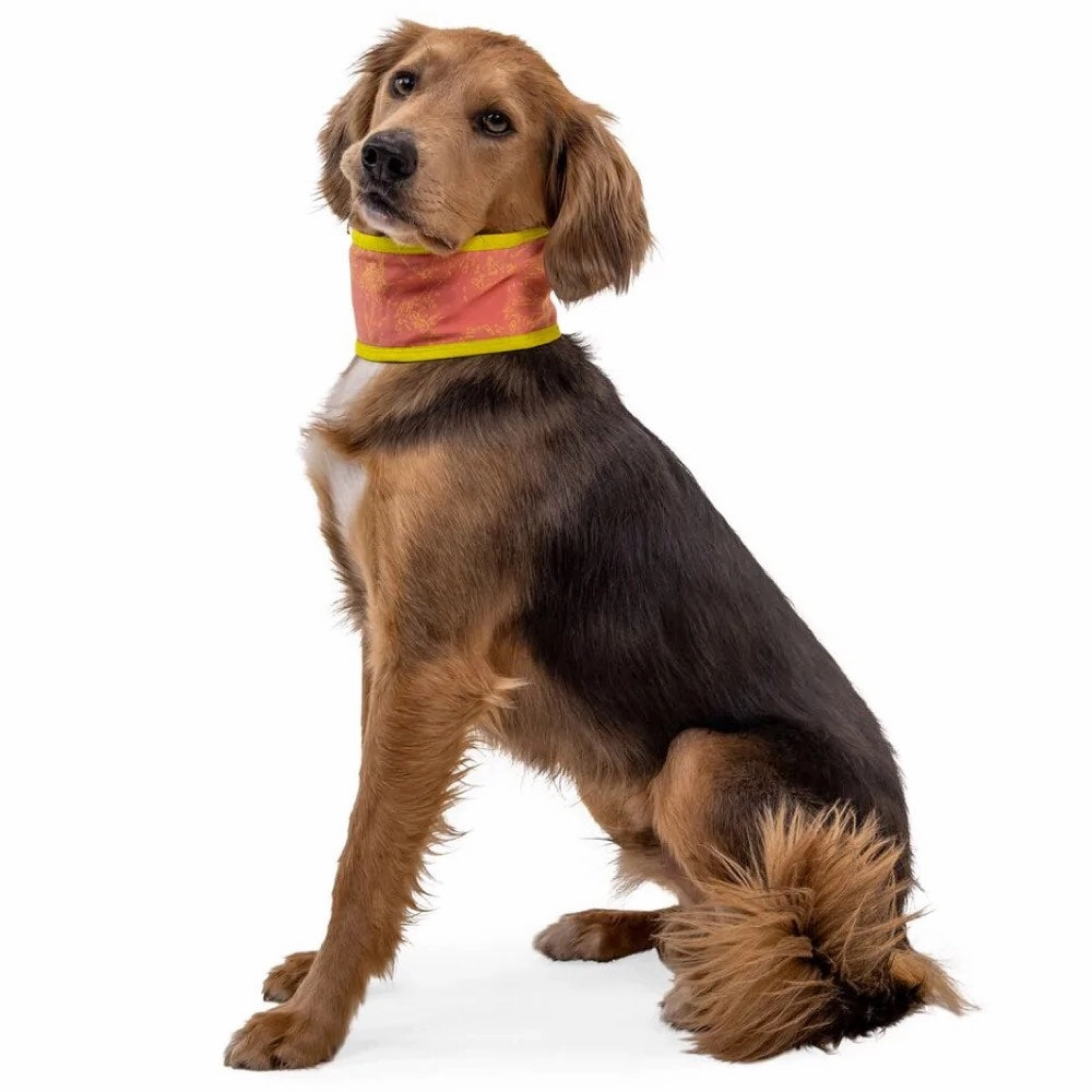 Ruffwear Swamp Cooler Reversible Cooling Dog Neck Gaiter (Salmon Pink/Blue Mist)