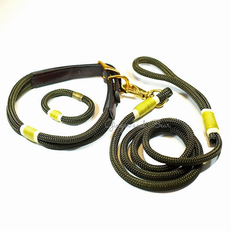 Rugged Hudson Collar: Gold & Olive
