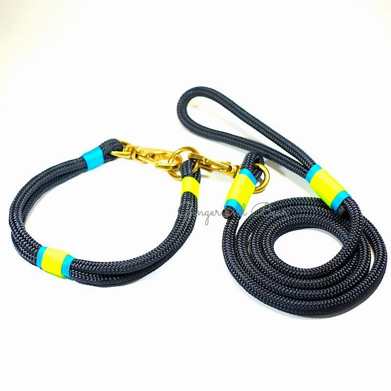 Rugged Hudson Collar: KeyLime, Navy