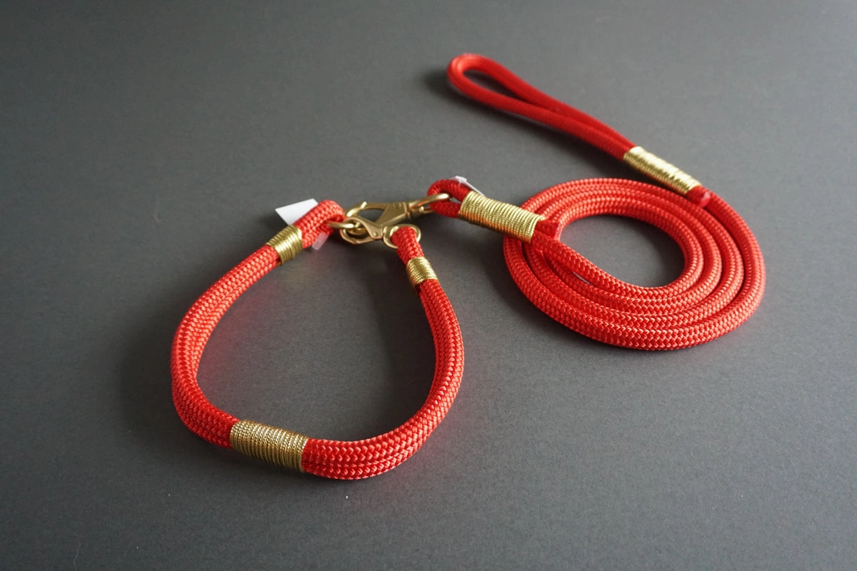 Rugged Wrist Hudson Dog Collar: Gold and Red Rope