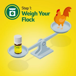 Safe-Guard AquaSol Dewormer for Backyard Chickens, 3ml