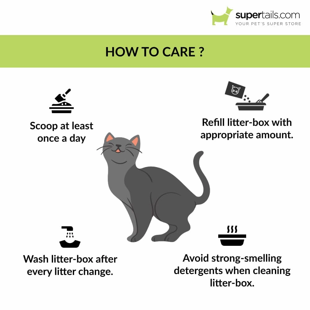 Savic Gizmo Litter Tray with Rim for Cats (Mocha)