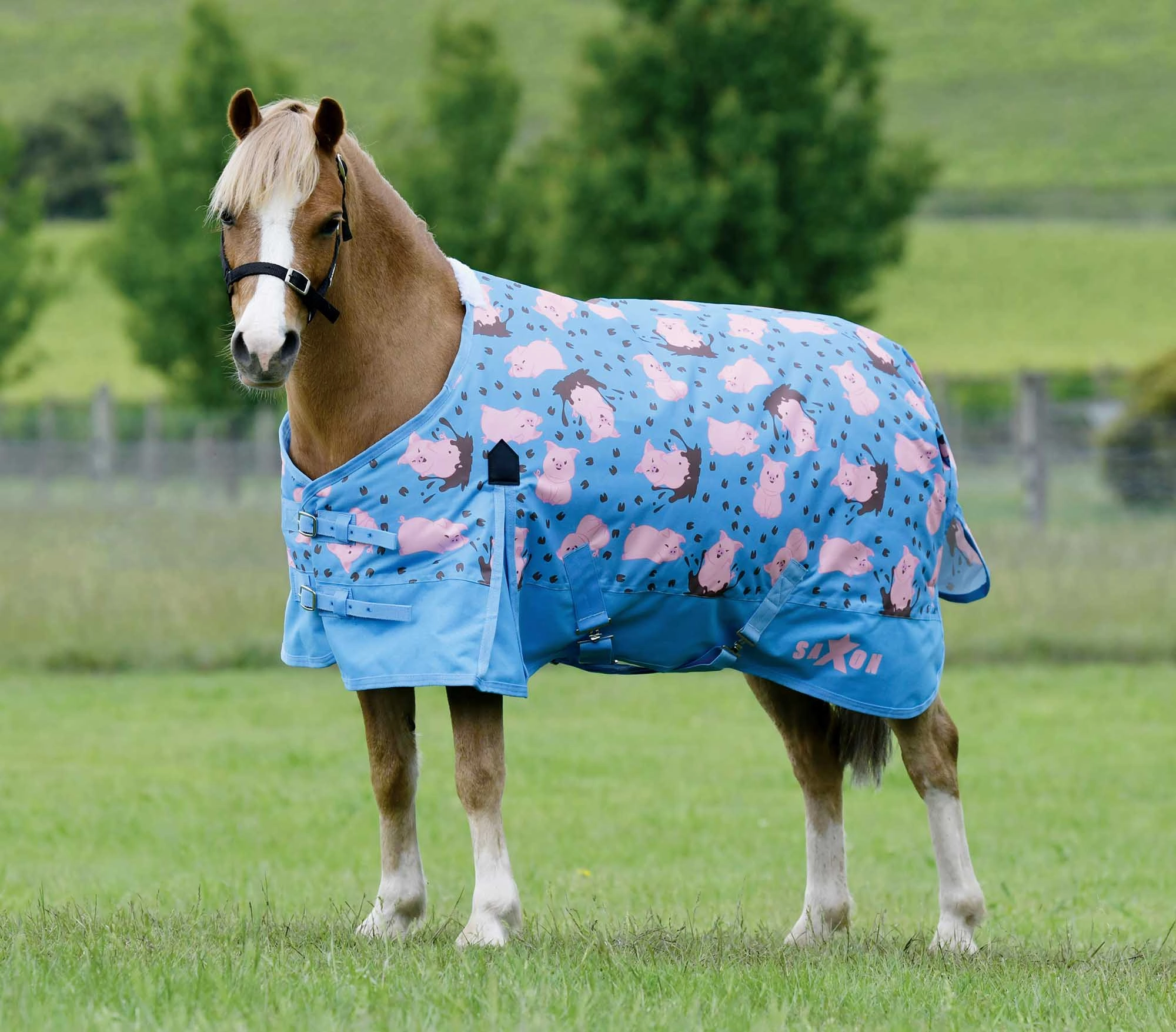 Saxon 600D Pony Standard Neck, Medium, Pig Print