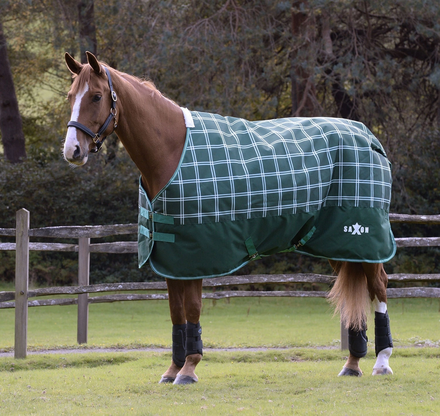 Saxon Defiant 1200D Standard Neck Horse Turnout, Medium, Hunter Green Plaid