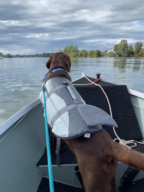 Shark Dog Life Jacket
