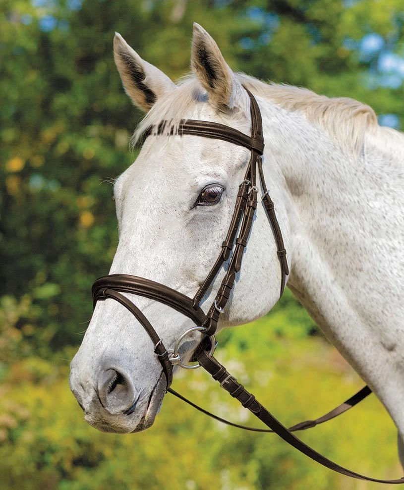 Shires Avignon Louisville Bridle