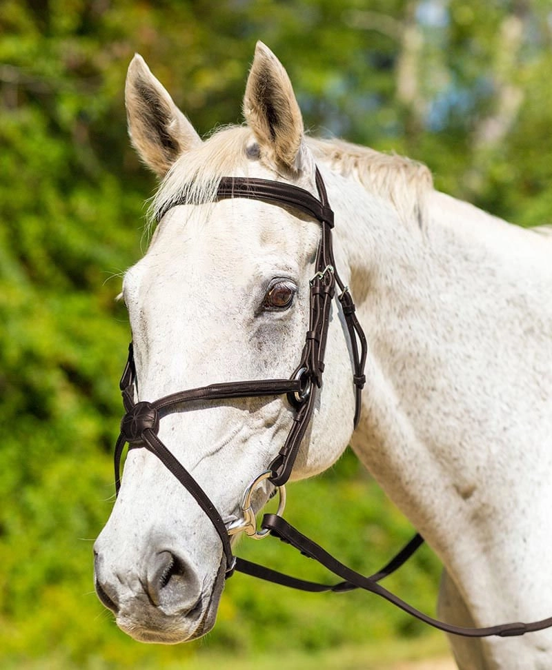 Shires Avignon Woodside Bridle