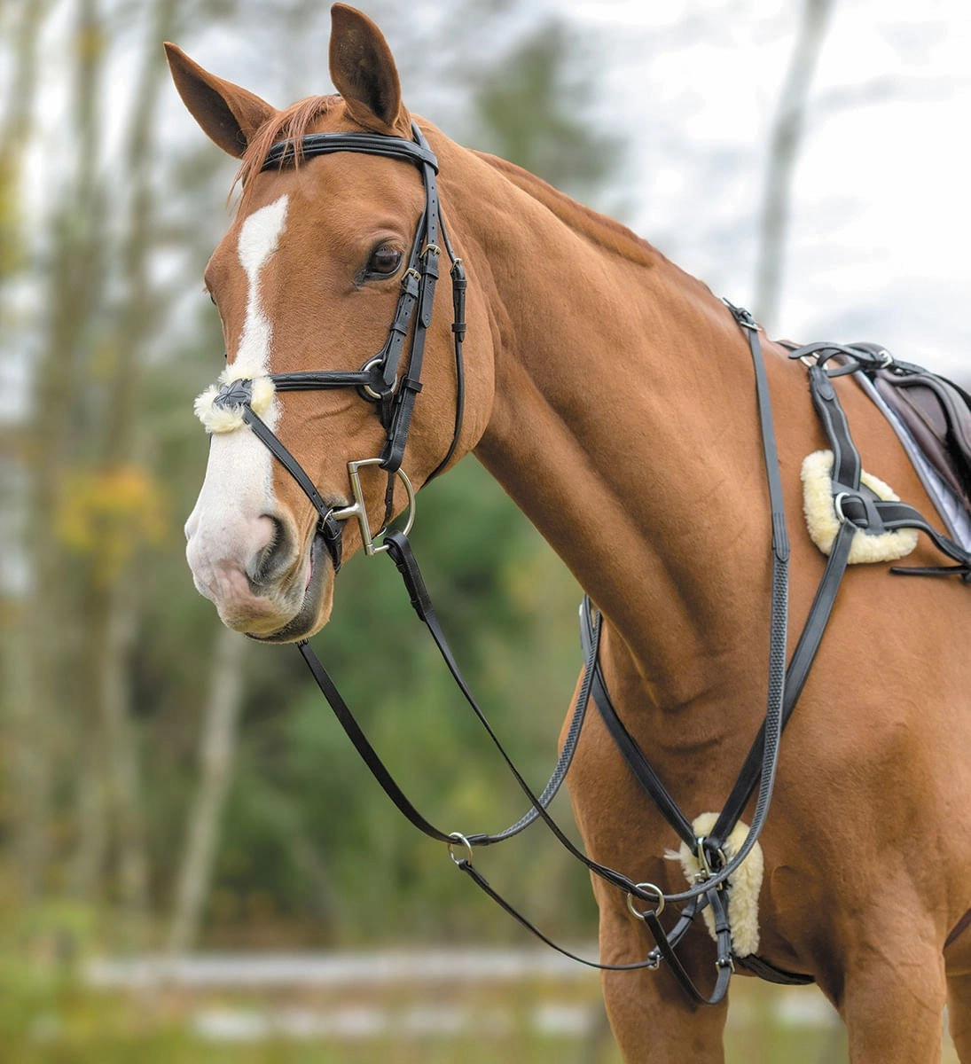 Shires Five Point Breastplate