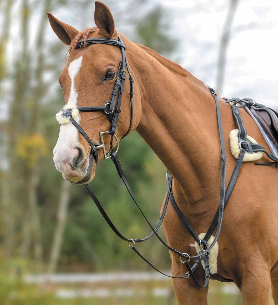 Shires Five Point Breastplate