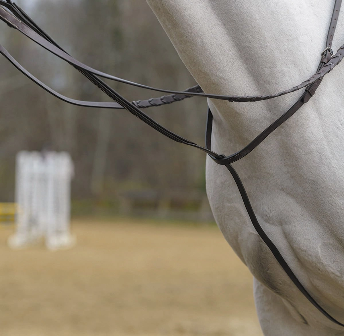 Shires Standing Martingale, Havana