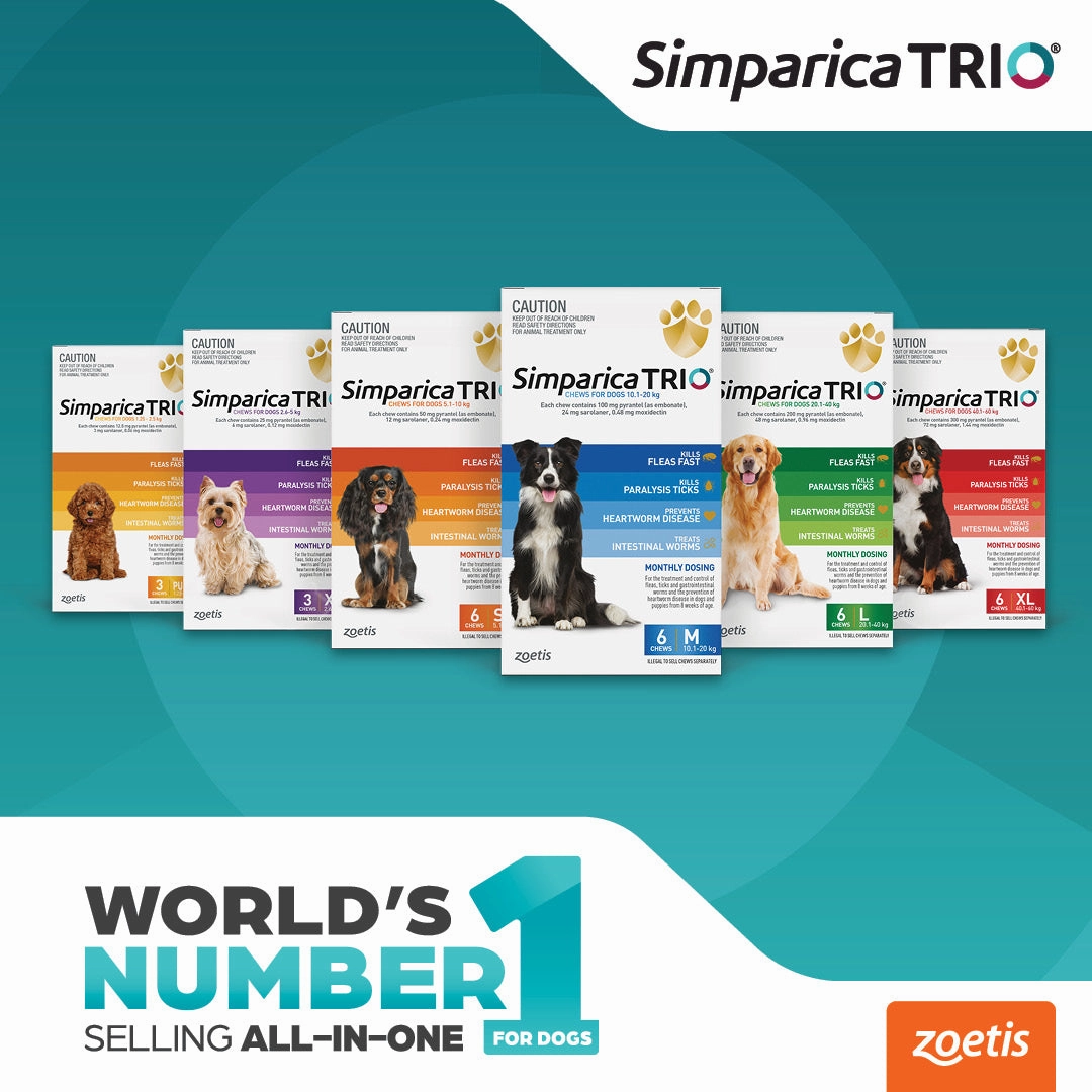 Simparica Trio - Chews for Dogs 5.1-10kg (6pk)