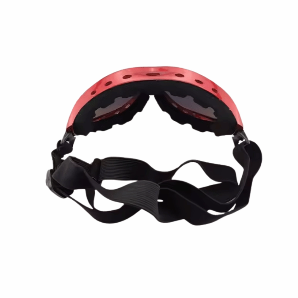 Ski Dog Goggles