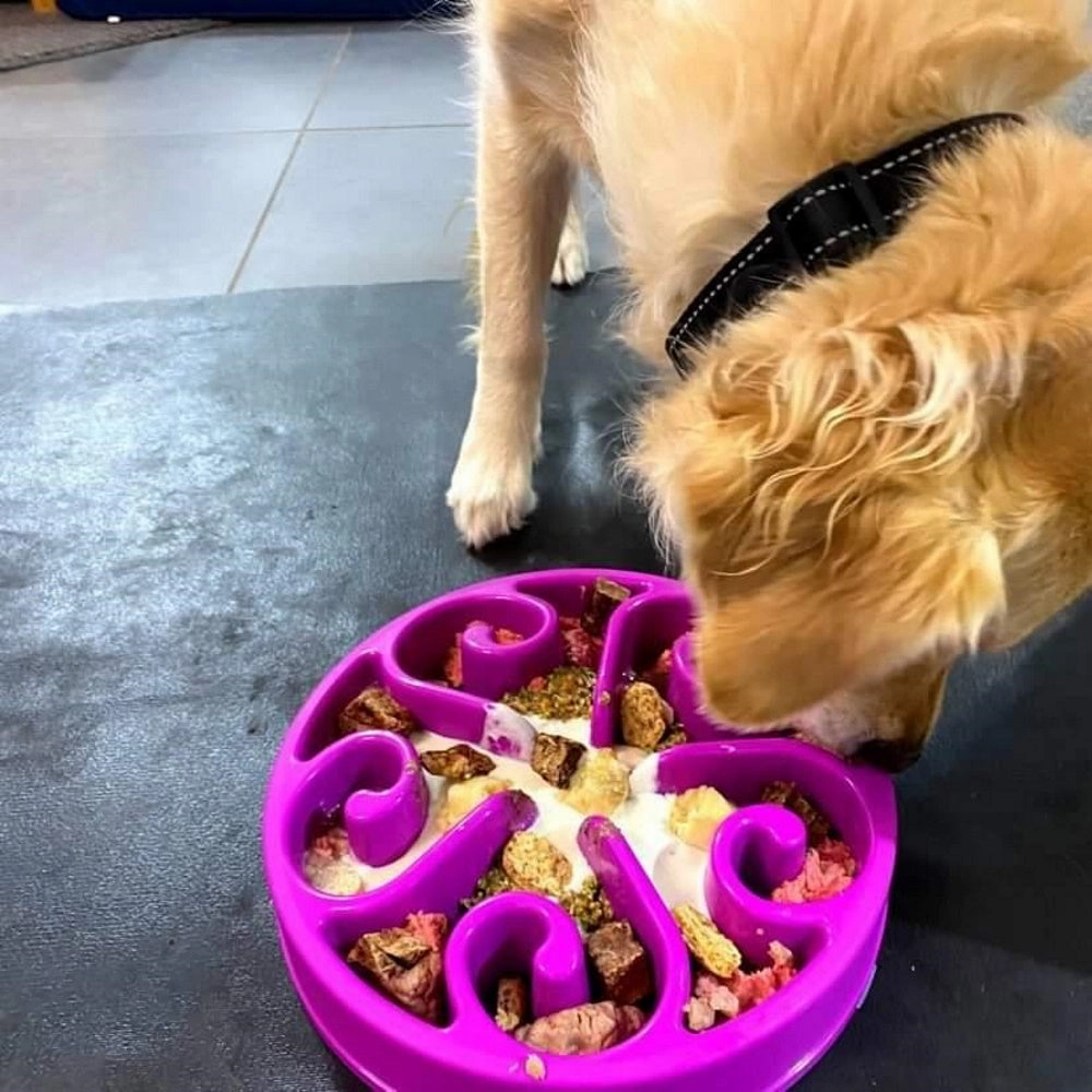 Slow Feeder Swirl Dog Bowl