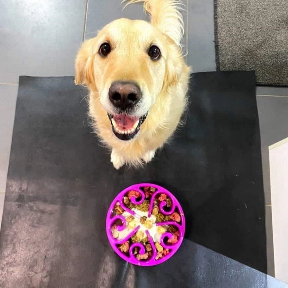 Slow Feeder Swirl Dog Bowl