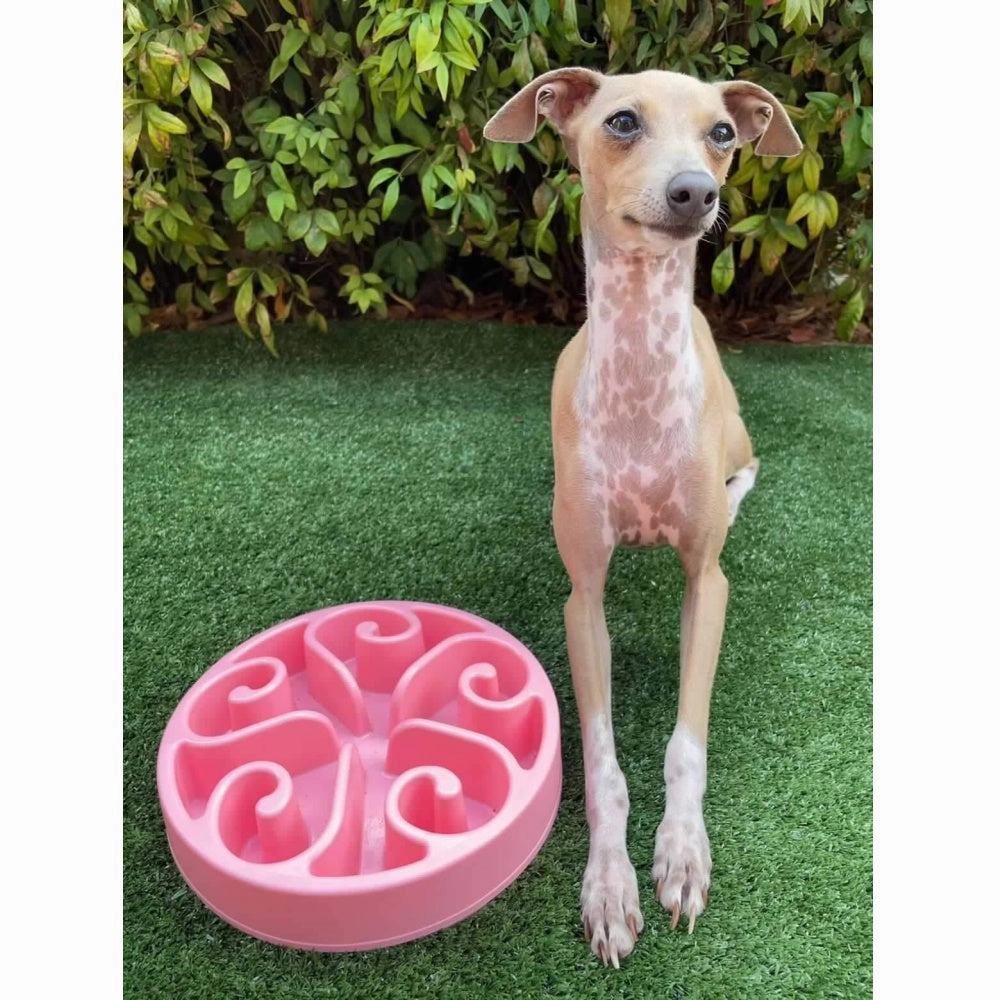 Slow Feeder Swirl Dog Bowl