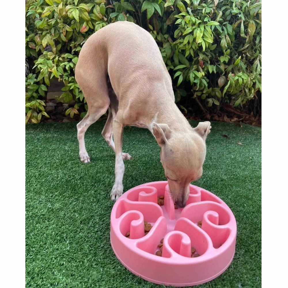 Slow Feeder Swirl Dog Bowl