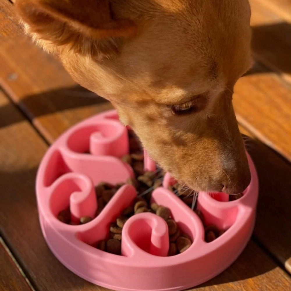 Slow Feeder Swirl Dog Bowl
