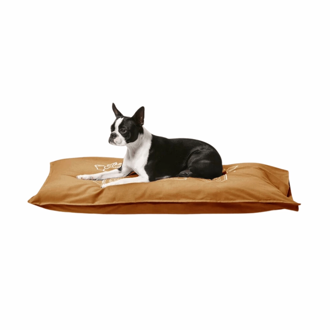 Snooza Cotton Canvas Futon Dog Bed
