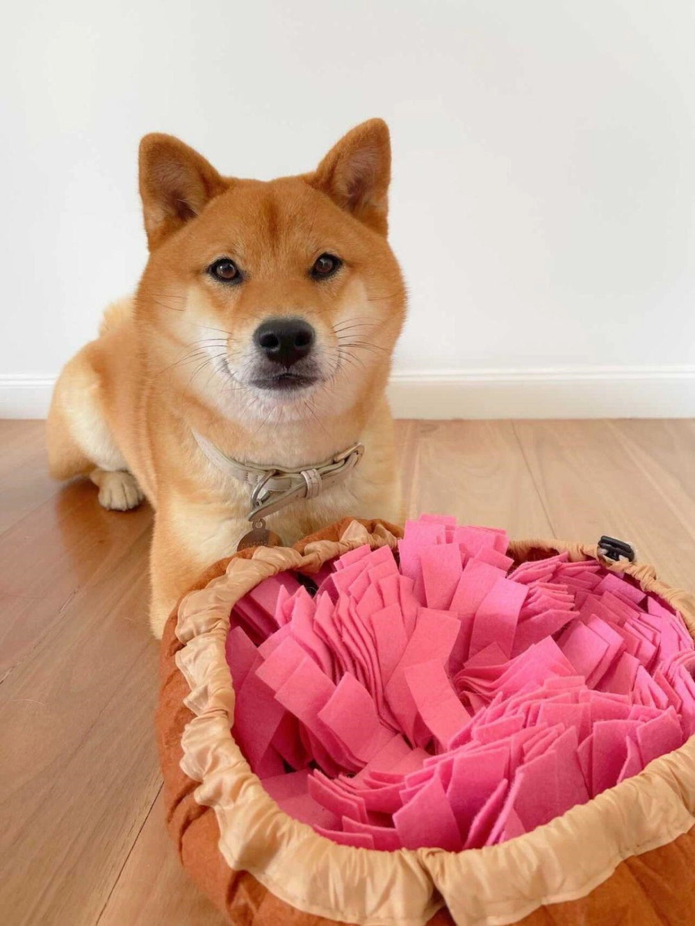 Snuffle Bowl Mat