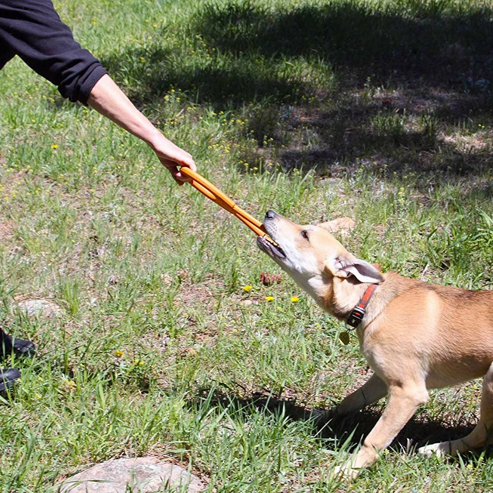 Soda Pup Pop Top Tug Orange Squeeze