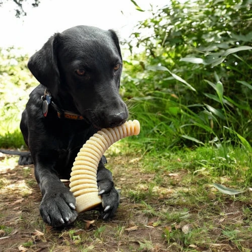 SodaPup Antler Dental Chew
