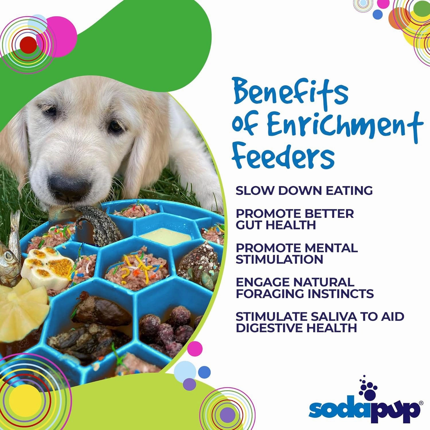 SodaPup Honeycomb Slow Feeder