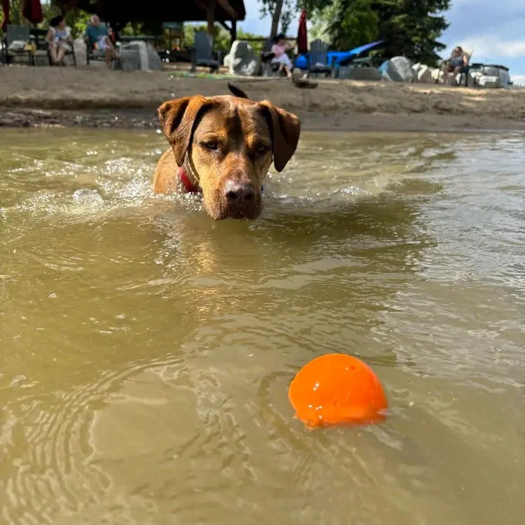 SodaPup Ultra Squeak Ball
