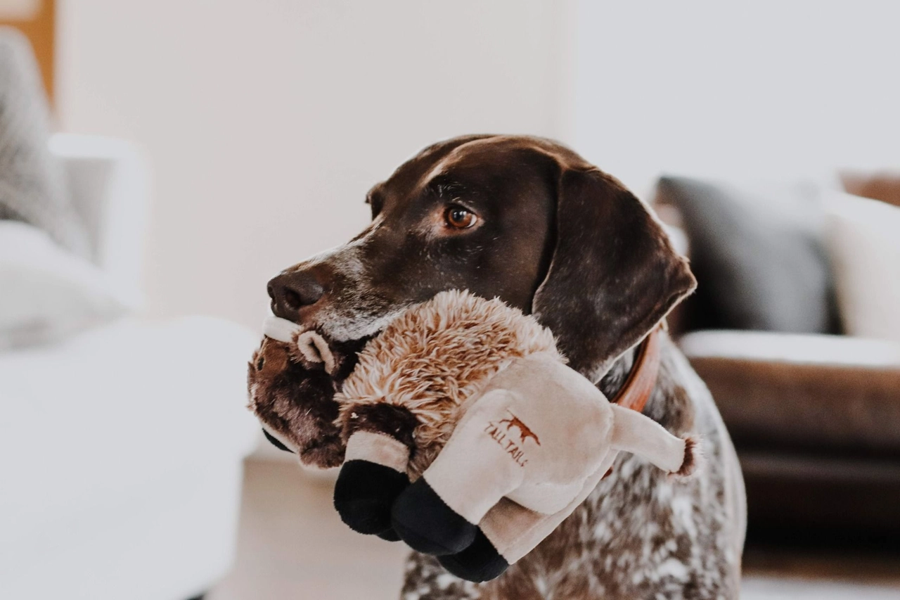 Squeaky Plush Dog Toy: Buffalo