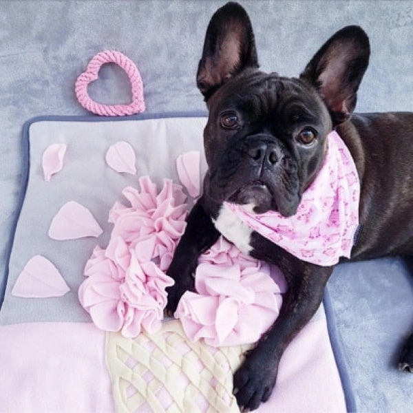 Strawberry Ice Cream Cone Snuffle Mat