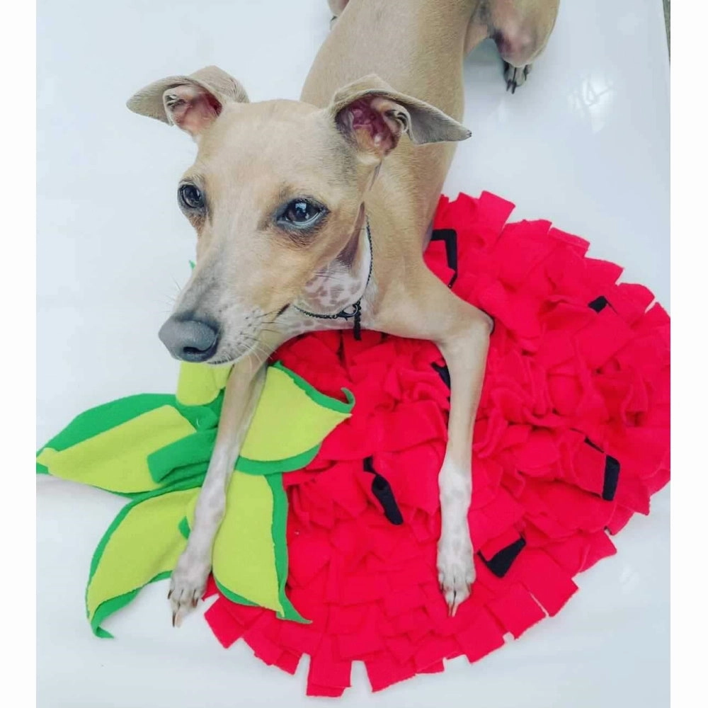 Strawberry Snuffle Mat