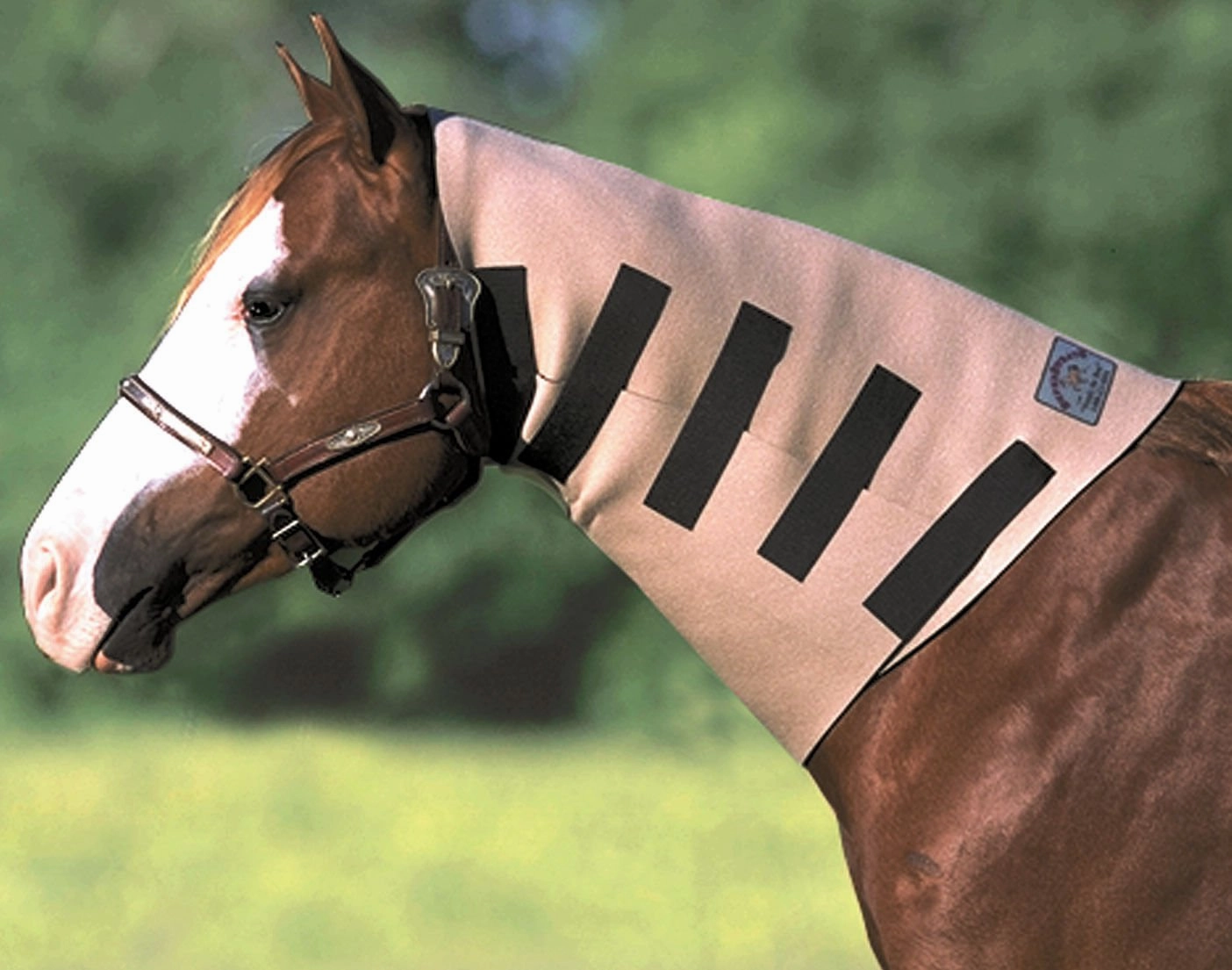 SuperSweats Neck Sweats for Horses