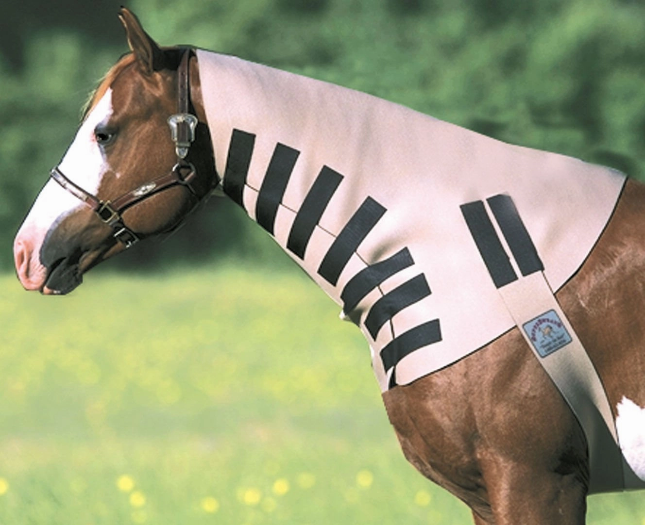SuperSweats Neck Sweats for Horses