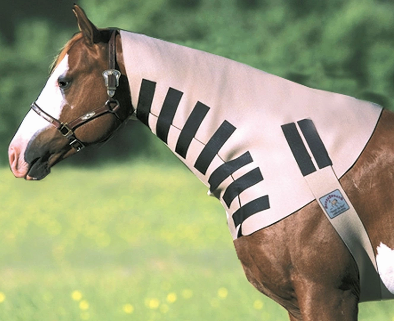SuperSweats Neck Sweats for Horses