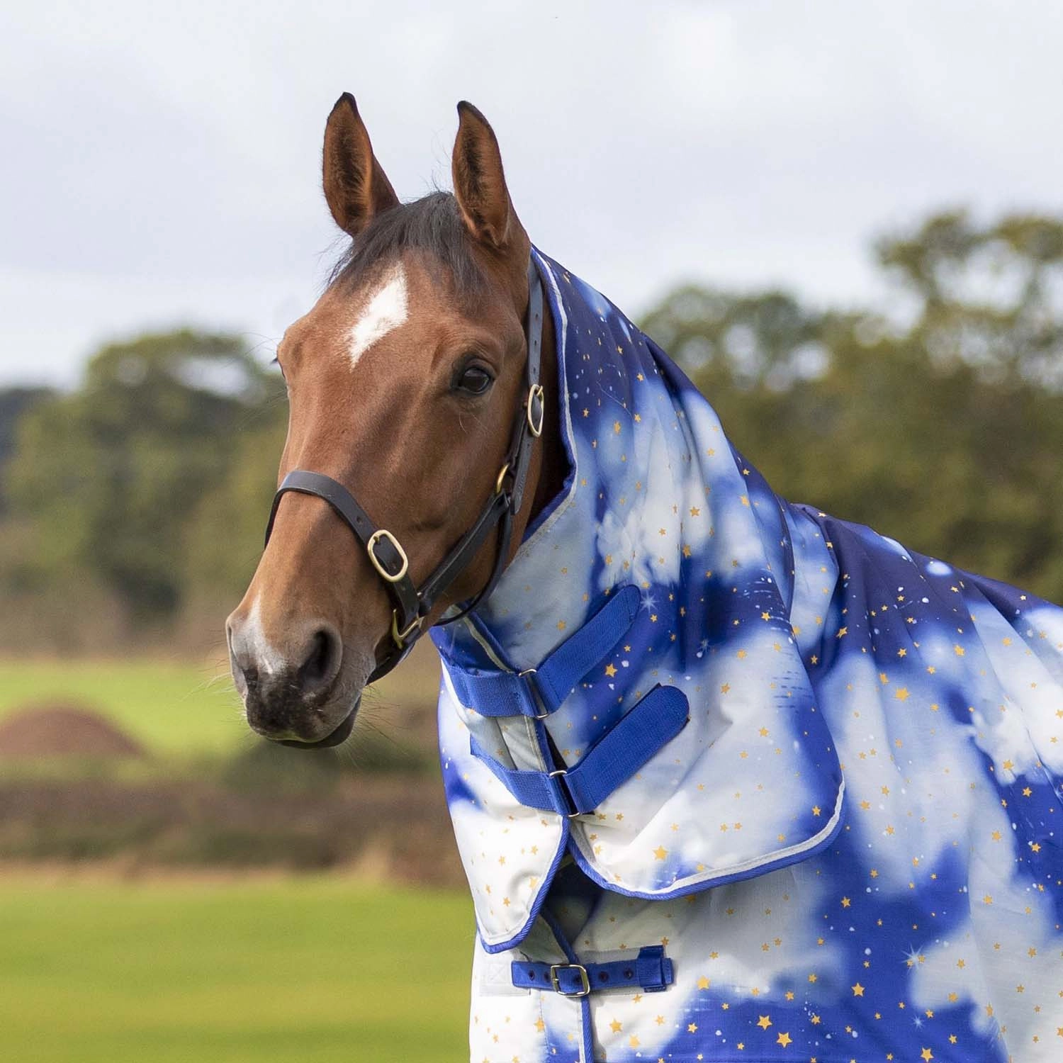 Tempest "Midnight Sky" Neck Cover for Horses, Small