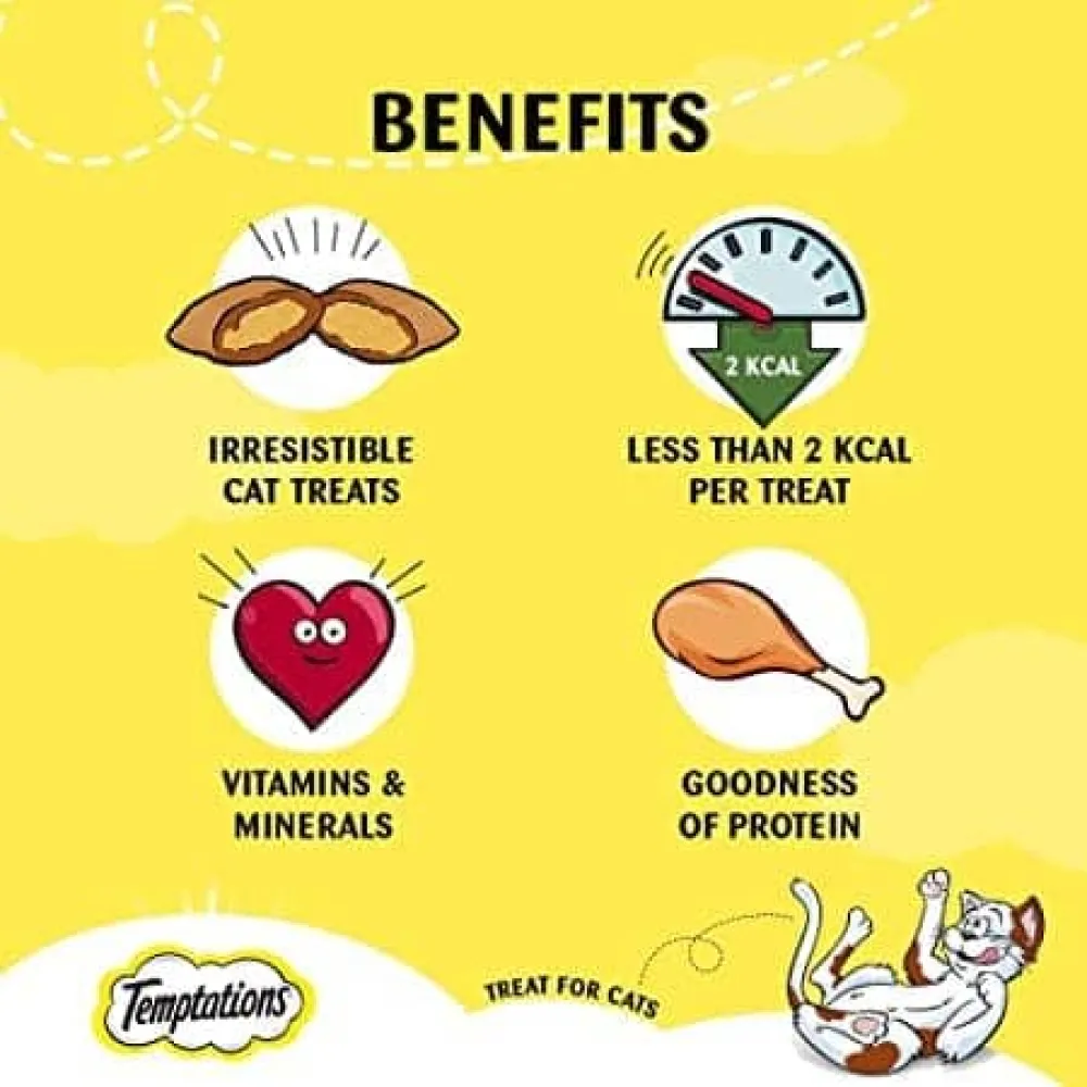Temptations Tasty Chicken and Savoury Salmon Flavour Cat Treats Combo