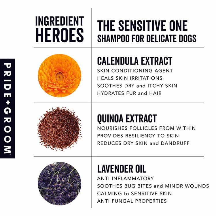 THE SENSITIVE ONE Dog Shampoo