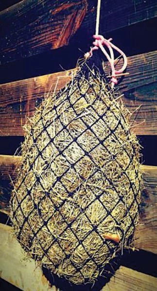 The Small Texas Hay Net Horse Feeder, 1.5 x 1.5 inch holes