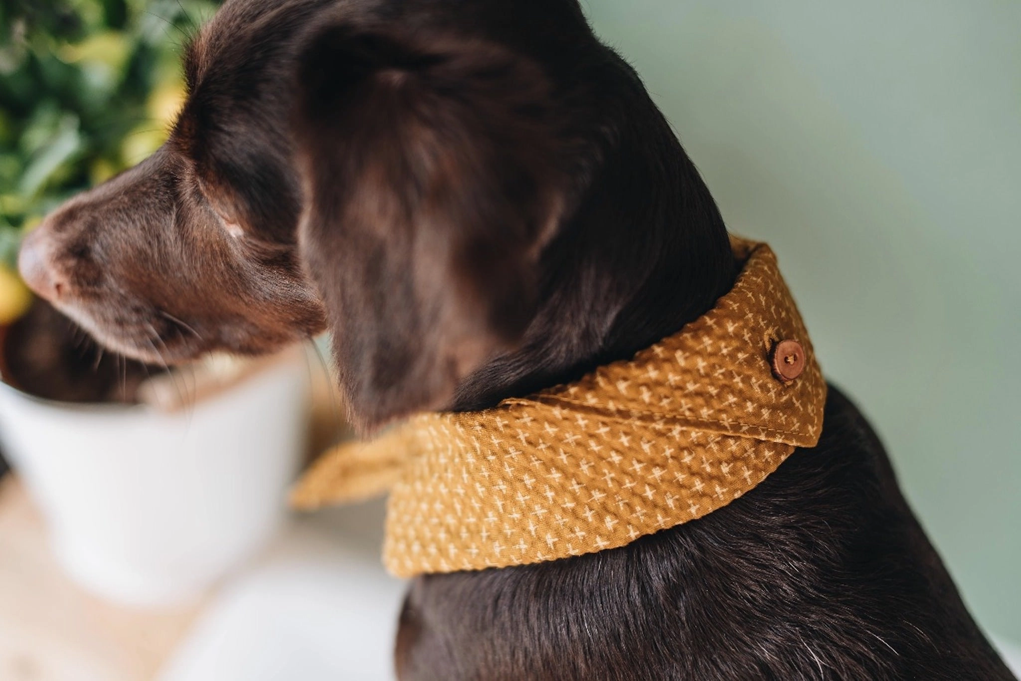 Tori Bandana for Dogs and Cats
