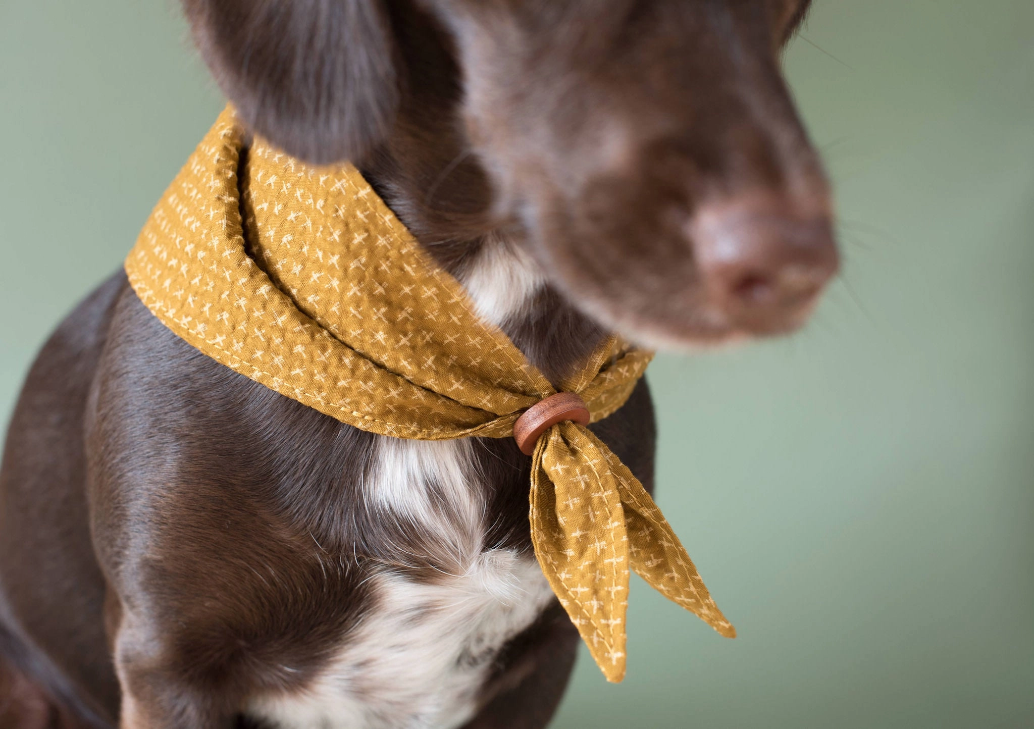 Tori Bandana for Dogs and Cats