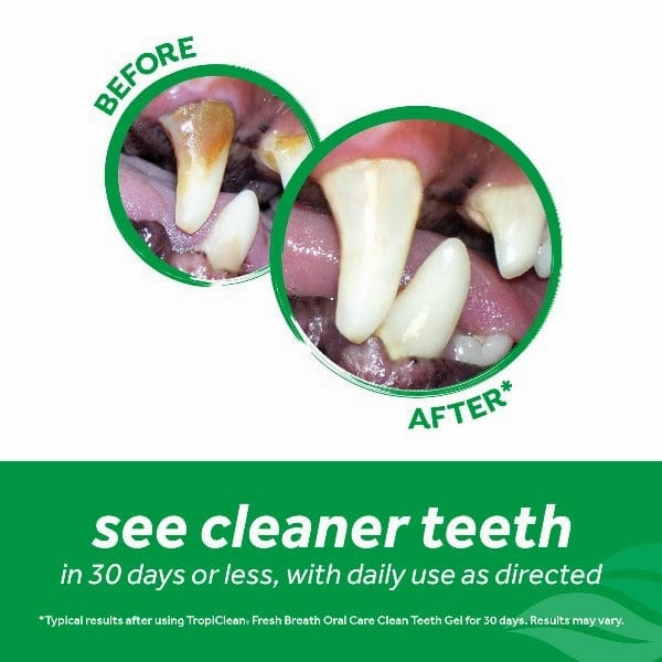 Tropiclean Fresh Breath Clean Teeth Oral Care Gel for Dogs; Peanut Butter