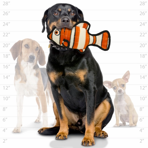 Tuffy Ocean Dog Squeaky Toys, Fish (mini and regular size)